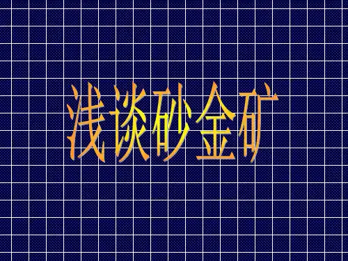 浅谈砂金矿