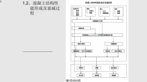 混凝土结构耐久性检测PPT课件
