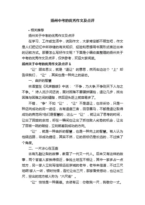 扬州中考的优秀作文及点评