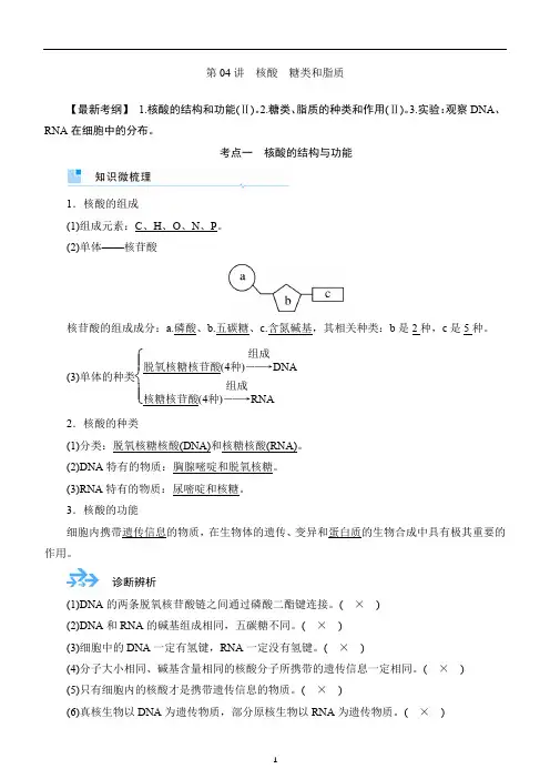 备战2020年高考生物一轮复习第4讲 核酸 糖类和脂质 讲义