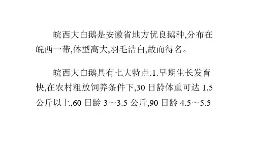 皖西大白鹅的饲养技术