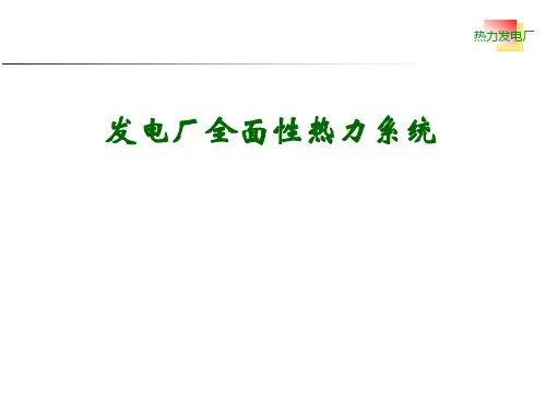 电厂全面性热力系统介绍