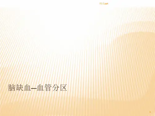 脑血管解剖、梗塞PPT课件