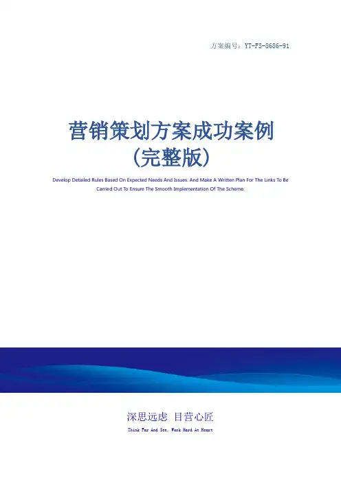 营销策划方案成功案例(完整版)