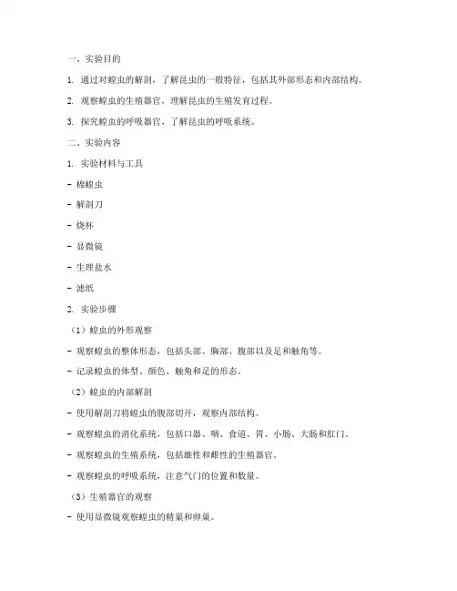 生物教学蝗虫实验报告