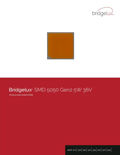 布里德拉克斯SMD 5050系列强力LED数据手册说明书