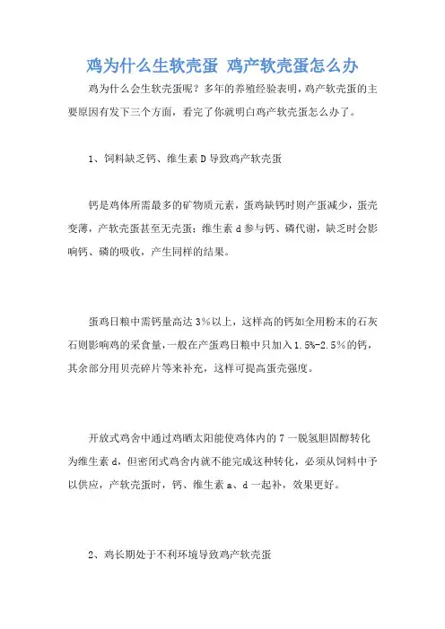 鸡为什么生软壳蛋 鸡产软壳蛋怎么办