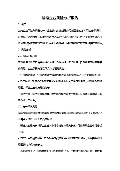 战略企业风险分析报告
