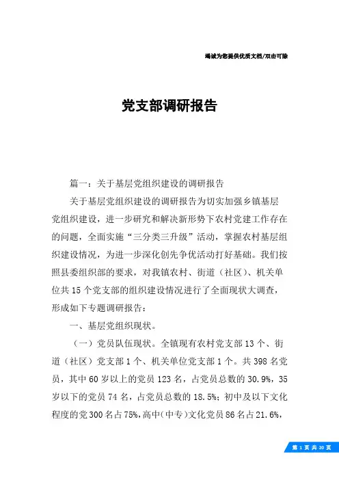 党支部调研报告