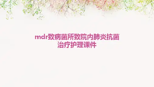MDR致病菌所致院内肺炎抗菌治疗护理课件