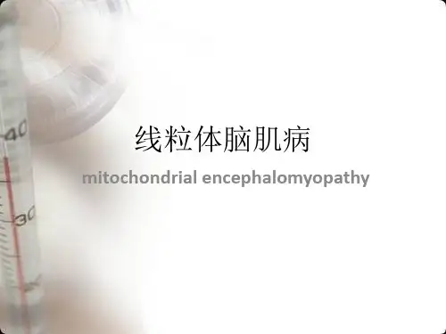 线粒体脑肌病