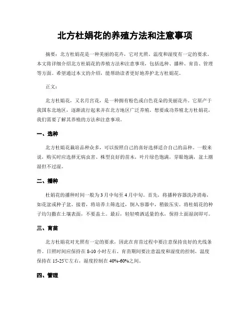 北方杜娟花的养殖方法和注意事项