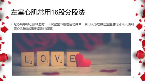心肌梗死PPT课件