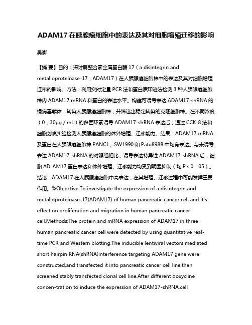 ADAM17在胰腺癌细胞中的表达及其对细胞增殖迁移的影响