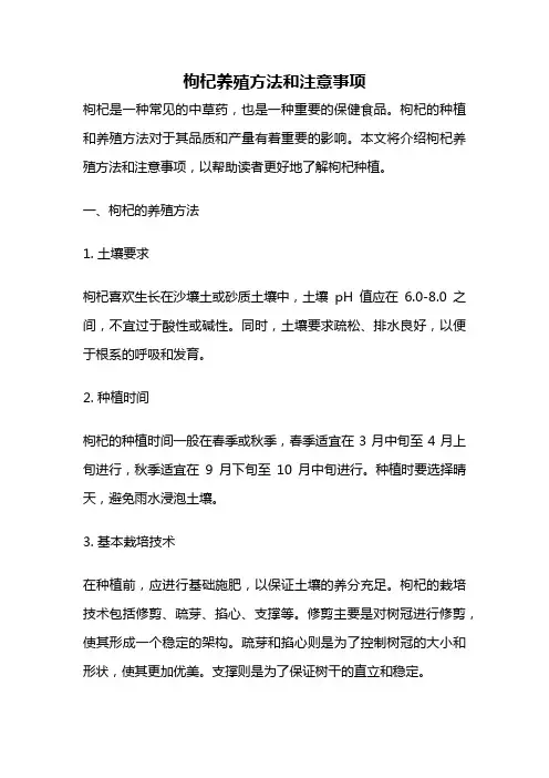 枸杞养殖方法和注意事项