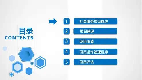 社会服务项目管理PPT31页