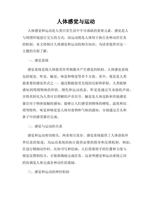 人体感觉与运动