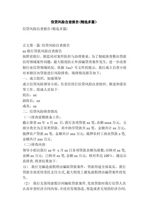信贷风险自查报告(精选多篇)