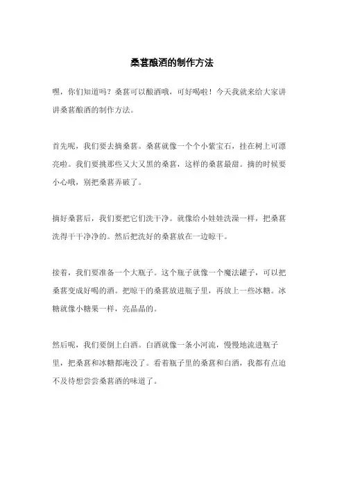 桑葚酿酒的制作方法