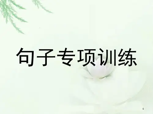 五年级句子专项训练(课堂PPT)