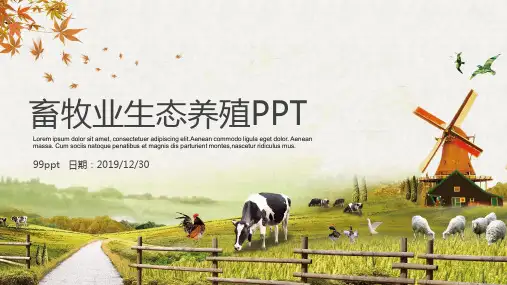 畜牧业生态养殖ppt通用模板