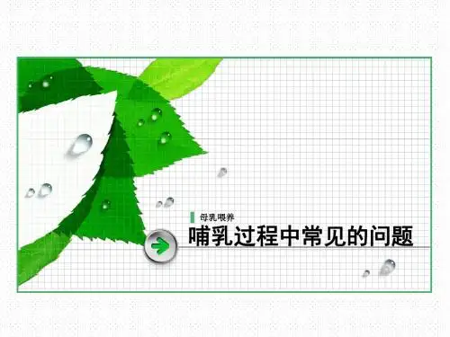 乳头常见问题
