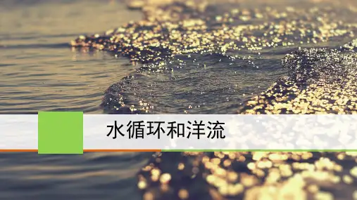 高三一轮复习：水循环与洋流