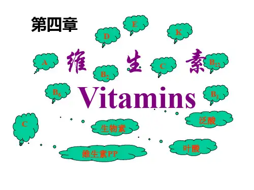 生物化学 维生素