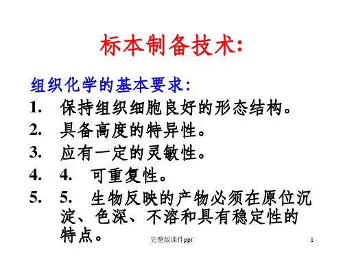 《般组织化学技术》PPT课件
