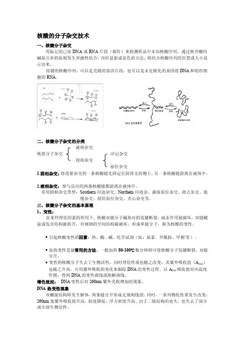[说明]核酸分子杂交及PCR技术