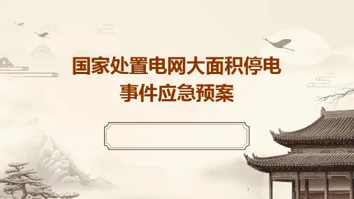 (2024年)国家处置电网大面积停电事件应急预案