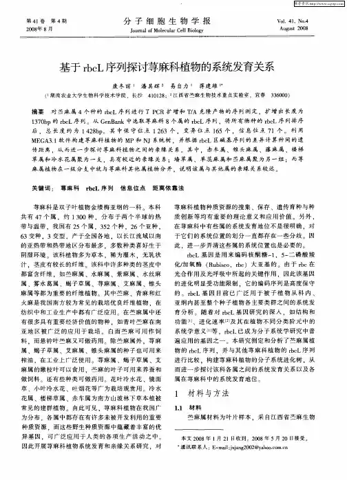 基于rbcL序列探讨荨麻科植物的系统发育关系