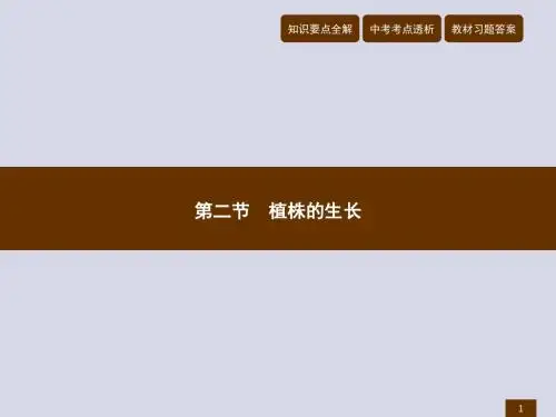 七年级上册生物(人教版)优质课件-3.2.2 植株的生长 (共24张PPT)