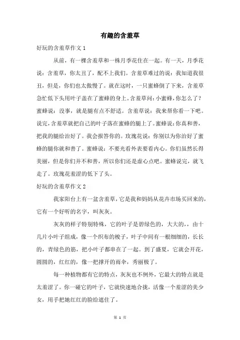 有趣的含羞草