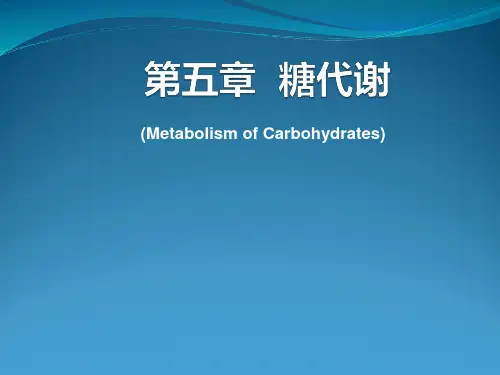 第五章糖代谢介绍