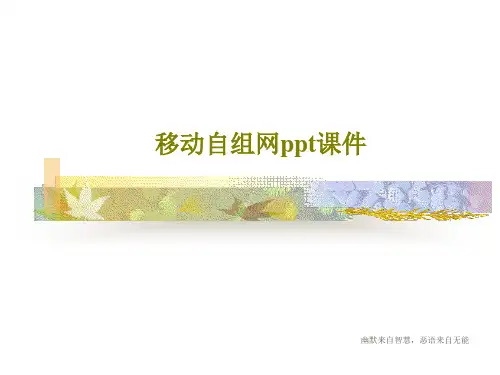 移动自组网ppt课件共116页