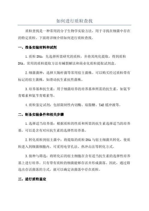 如何进行质粒查找