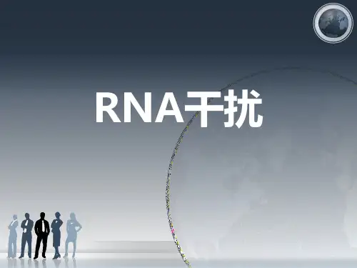 RNA干扰与应用精讲