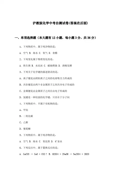 沪教版化学中考试卷及答案指导
