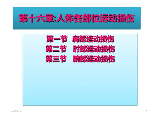 人体各部位运动损伤 PPT课件