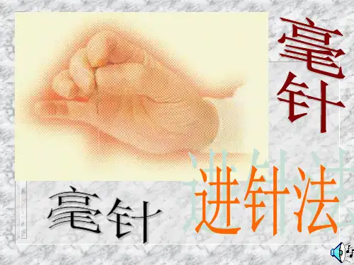 针刺方法  ppt课件