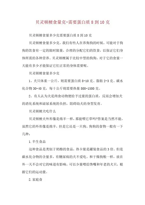 贝灵顿梗食量克-需要蛋白质8到10克