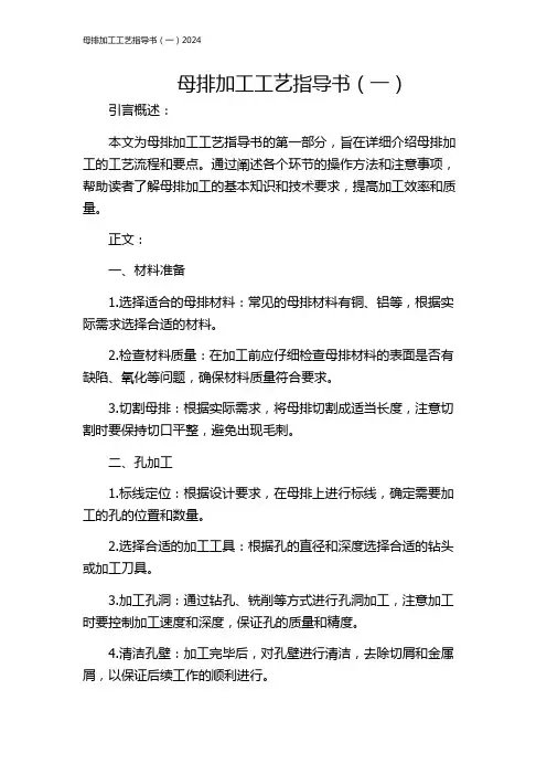母排加工工艺指导书(一)2024