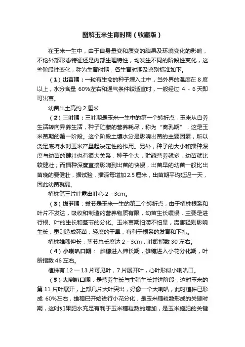图解玉米生育时期（收藏版）