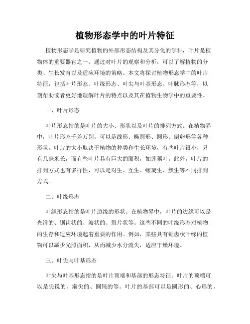 植物形态学中的叶片特征