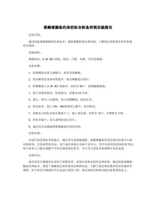 果蝇唾腺染色体的标本制备和观实验报告