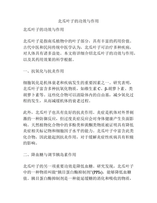 北瓜叶子的功效与作用