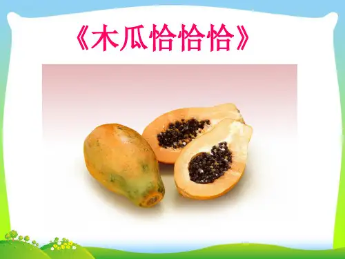 新人教版四年级音乐下册：《木瓜恰恰恰》课件.ppt
