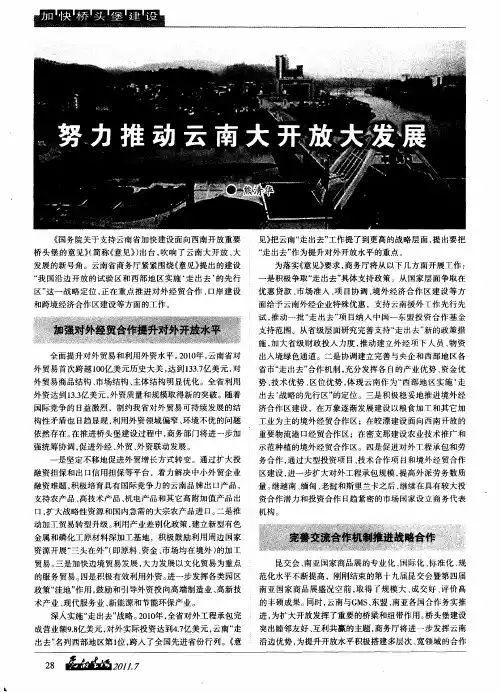 努力推动云南大开放大发展