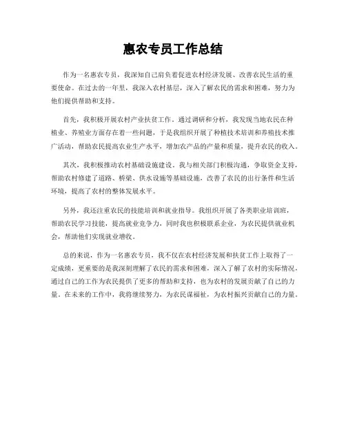 惠农专员工作总结